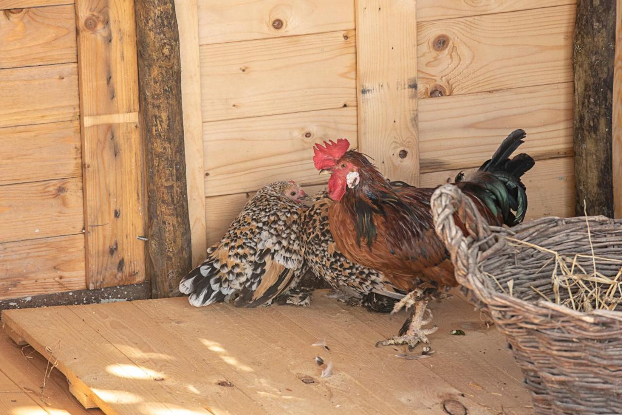 مبيت وإفطار Venda do Pinheiro Ninho Saloio المظهر الخارجي الصورة